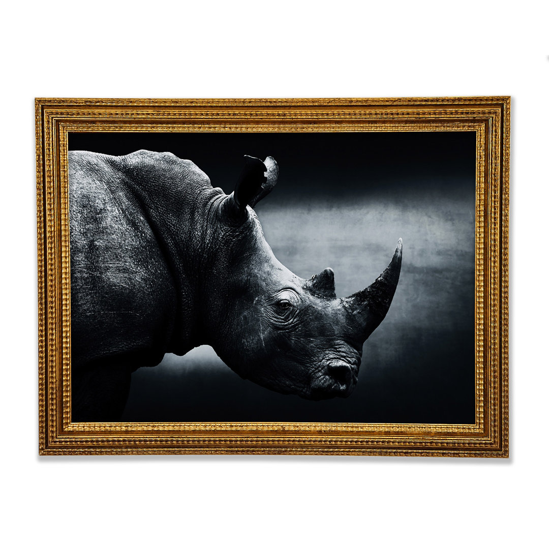 Rhinoceros Beauty - Einzelner Bilderrahmen Kunstdrucke