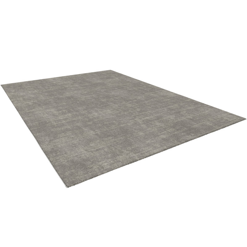 Richmondville Solid Colour Area Rug, Rectangle 120 x 170cm