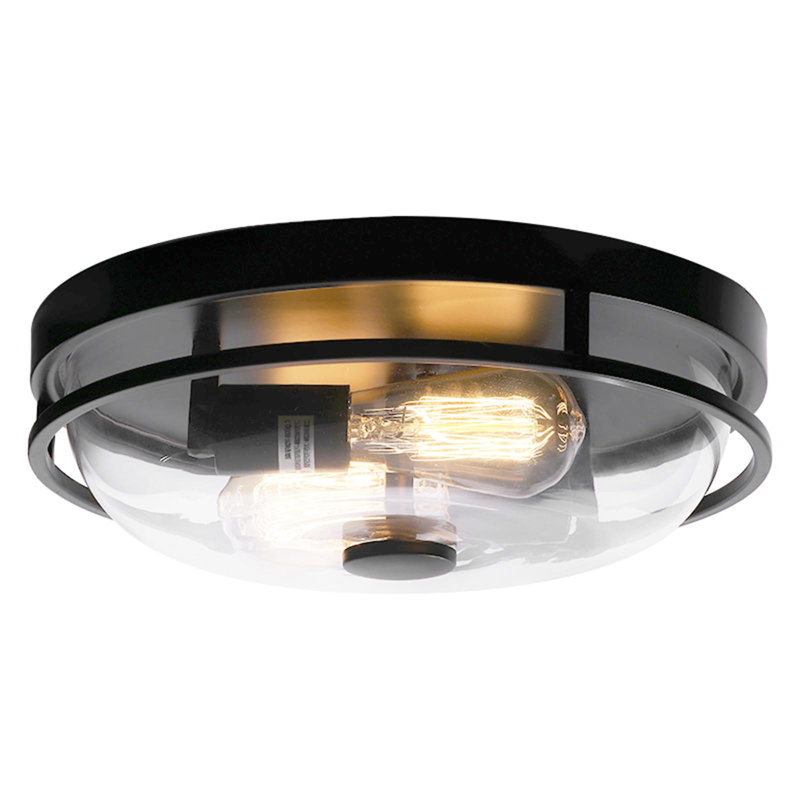 Flush Mount Ceiling Light with Clear Glass Shade, Black