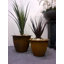 Norman Planter-14486368