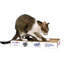 Christen Scratching Post-276383028
