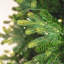 108'' H Green Realistic Fir Christmas Tree-788651224-788651222