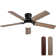 Derick 52'' 5-Blade Modern Ceiling Fan with LED Light and Remote Control