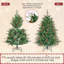 Fir Christmas Tree-1221183424