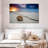 Aletra Fraser Island Beach Shell-107721323