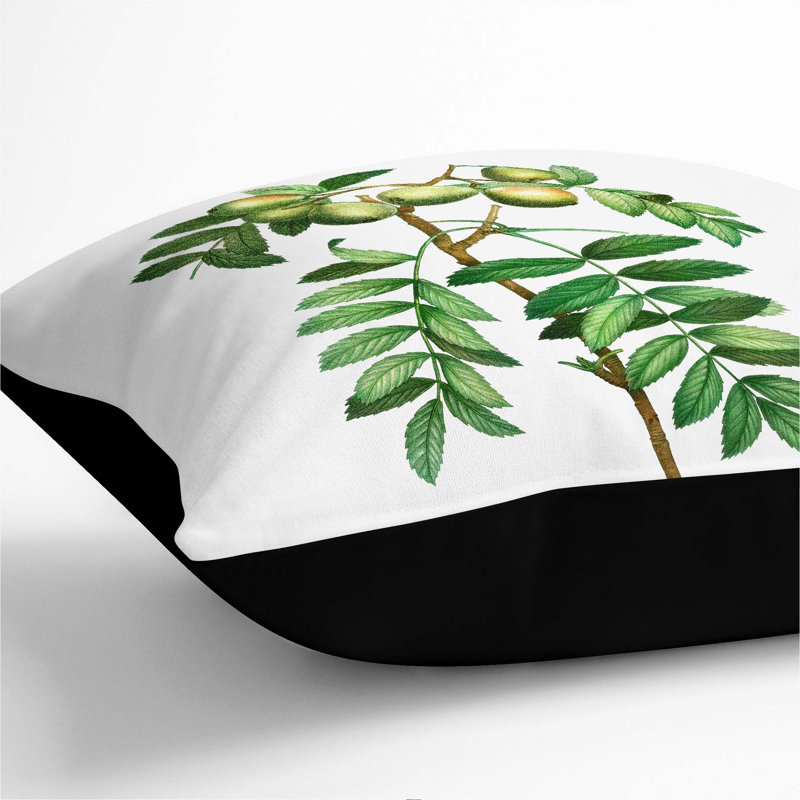 Square Throw Cushion, Black, 55cm H x 55cm W x 20cm D