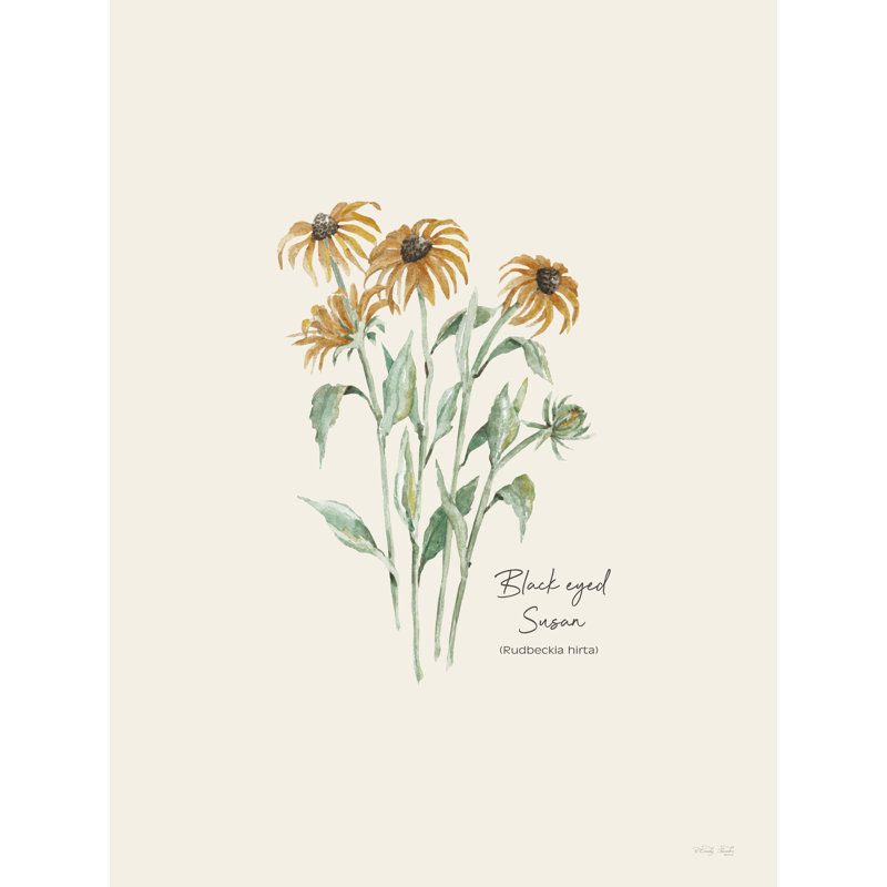 Jaleria Black Eyed Susan par Cindy Jacobs, H 18 po x l 12 po