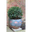 Driver Metal Pot Planter