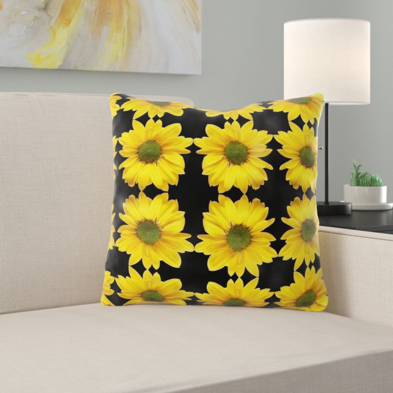 Coussin astronira, Intérieur