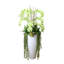 Orchid Arrangement with Cactus in Fiberstone Planter-292671248