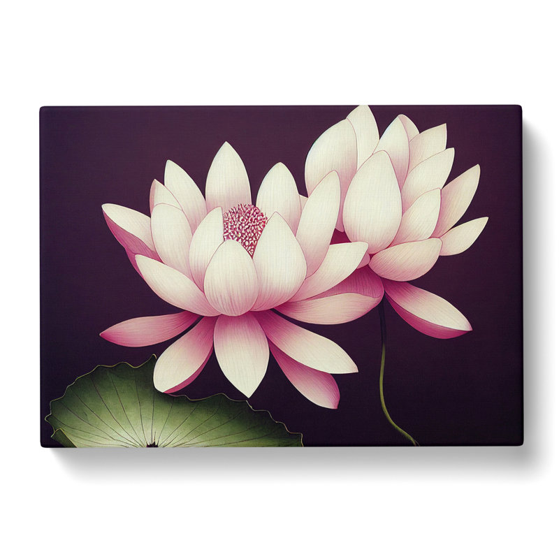 Peaceful Lotus Flowers - Wrapped Canvas, 35cm H x 50cm W x 3cm D