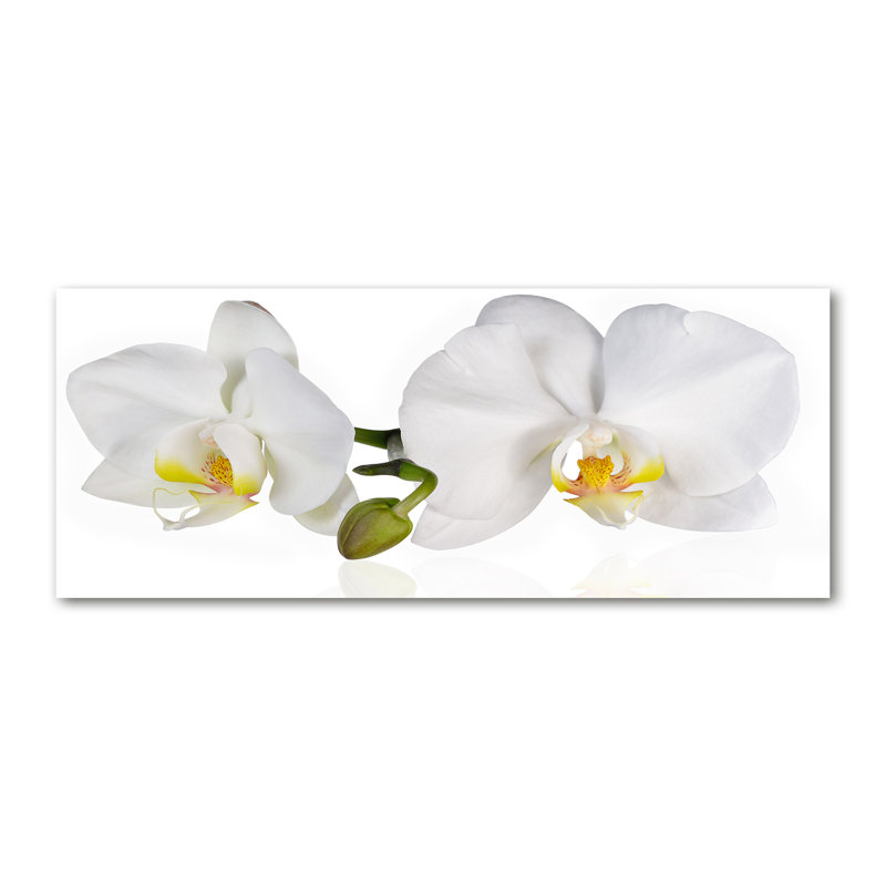 Orchid - Wrapped Canvas Print