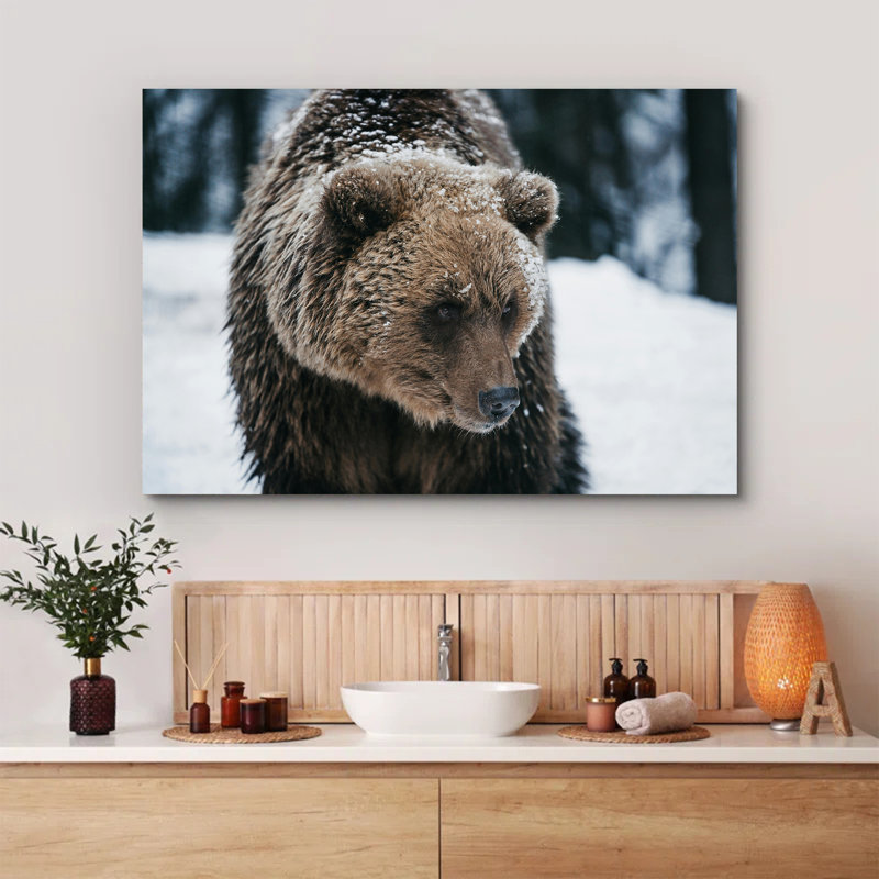 Grizzly Bear on Snow, 16" H x 24" W