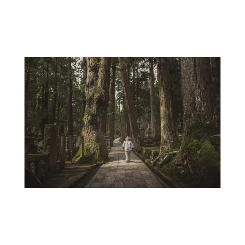 Japan Okunoin by Daniel Kordan - Wrapped Canvas Print, 20.32 cm H x 30.48 cm W