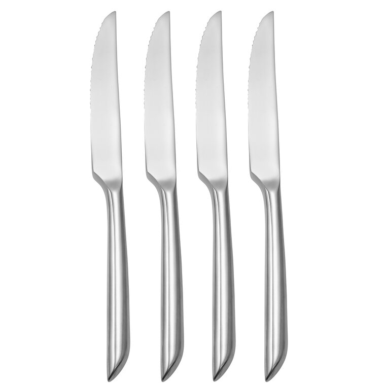 Rachael Ray Set of 4 Pro Steak Knives with Storage Case 