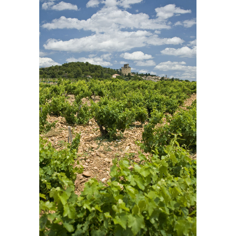 Vineyard In Provence par - Photographie de toile tendue, L 12 po x H 18 po