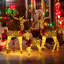 Christmas Animals Decorative Accent