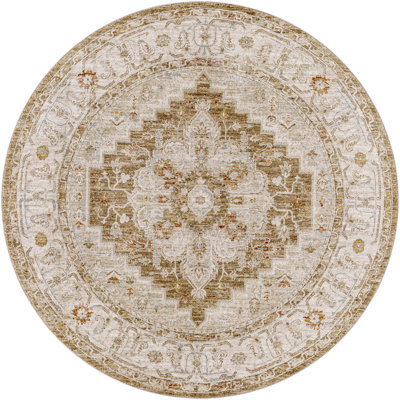 Finnlagh Oriental Indoor Rug