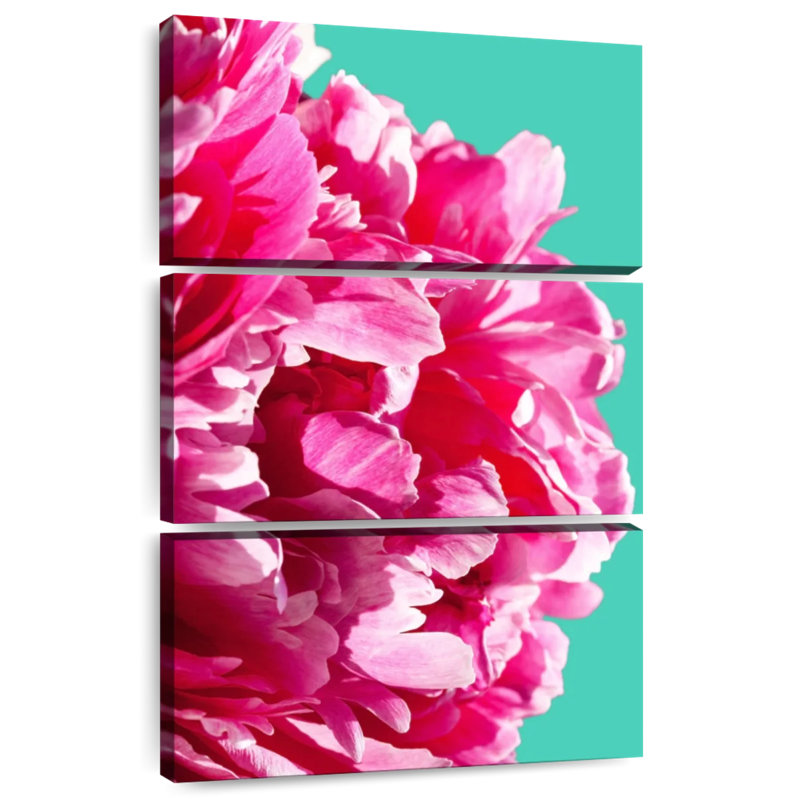Pivoine rose à volants