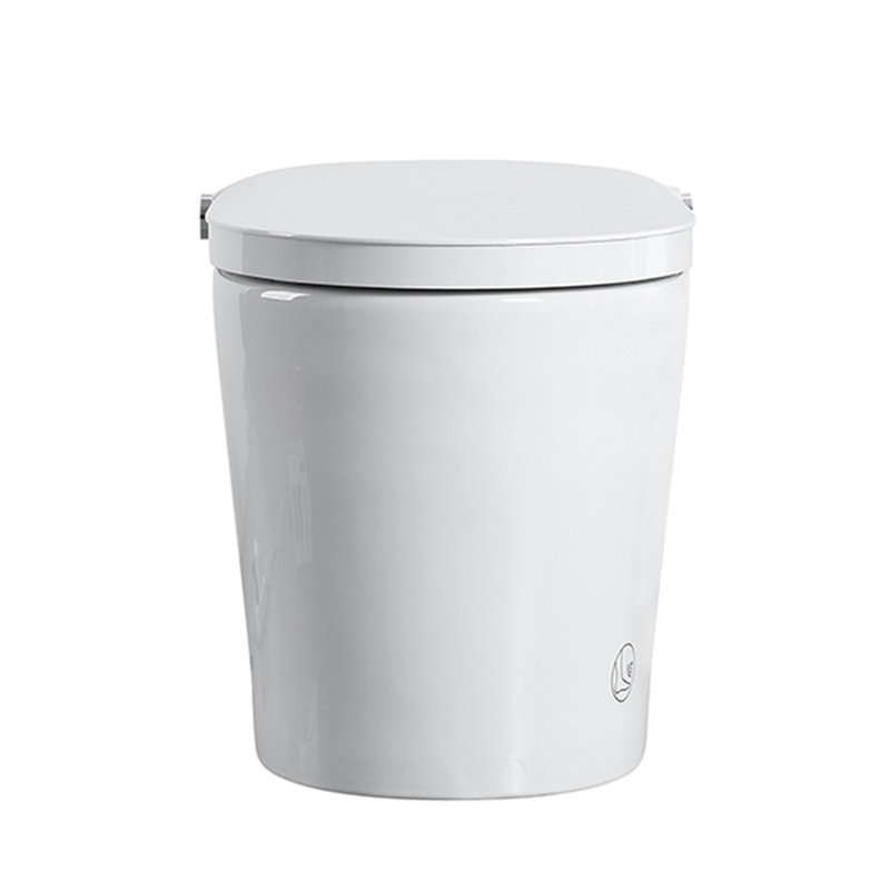 Toilette intelligente sans réservoir avec bidet intégré, une pièce, chasse d'eau automatique, ouverture / fermeture automatique, siège chauffant, lavage à bulles, eau chaude et sèche, température réglable, télécommande