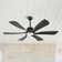 Hydle 60'' Ceiling Fan with LED Lights
