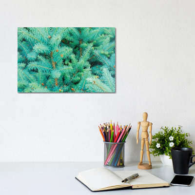 Thorns Of Fir by Beli - Wrapped Canvas Print