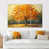 Toile tendue