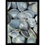 «Quahog» par Damon Crook, reproduction d'art graphique sur toile encadrée-24621309-24621317-24621318