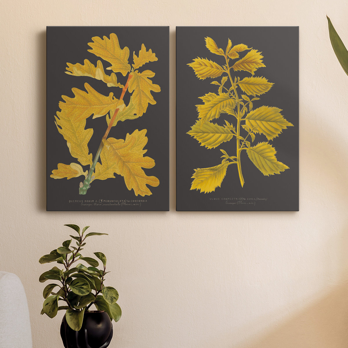August Grove® Trees and Leaves IV - 2 Piece Painting Print Set | Wayfair