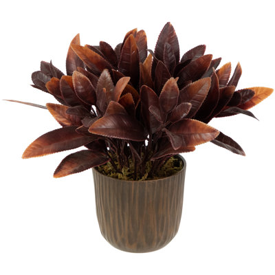 9 plantes
