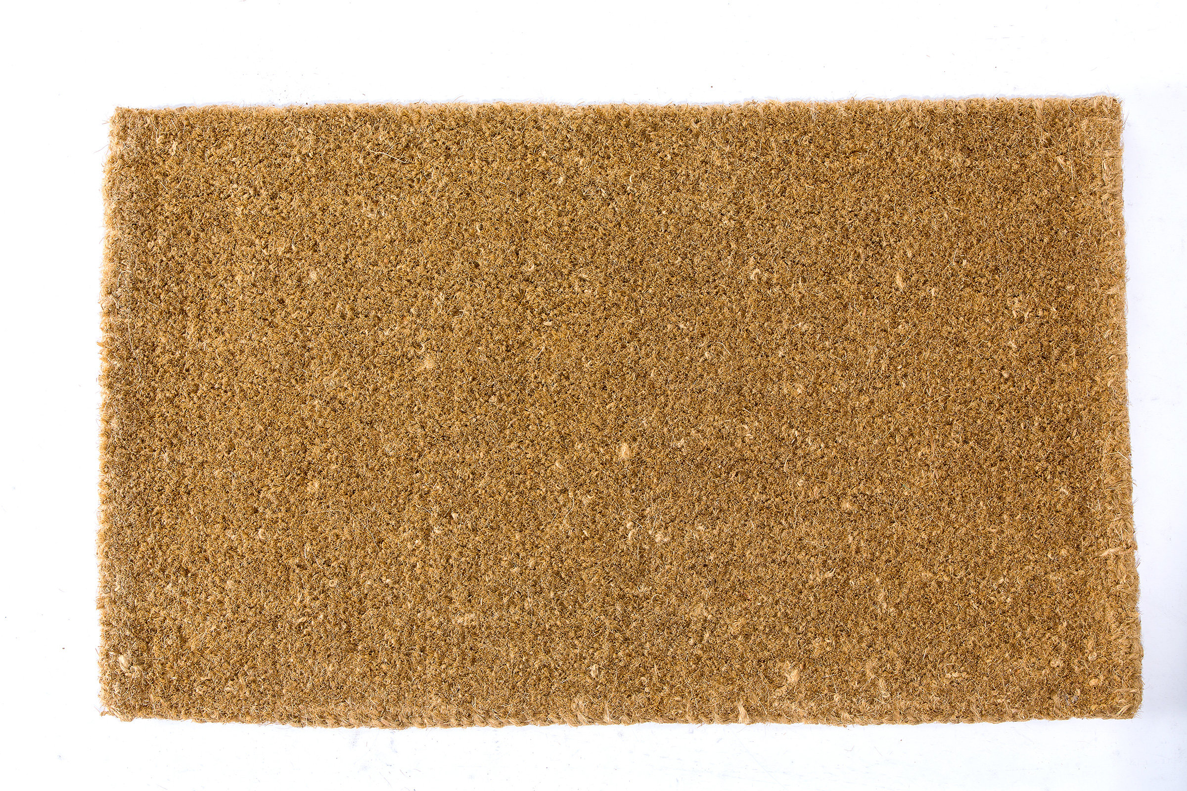 Dement Natural Indoor Door Mat Bay Isle Home Mat Size: Rectangle 3' x 6