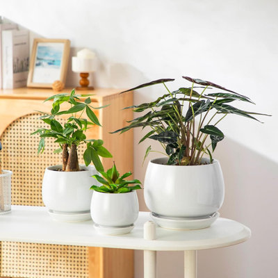 Planter