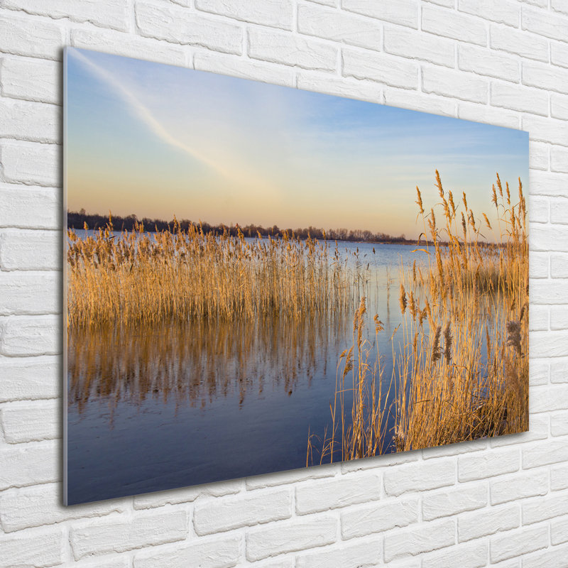 Watercane - No Frame Print on Glass
