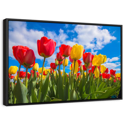 Impression sur toile Spring Spring