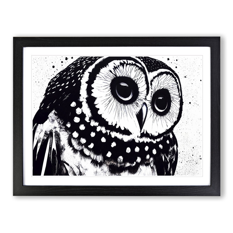 Striking Owl Art Vol.2 - Single Picture Frame Print, Black, 46cm H x 64cm W x 2cm D
