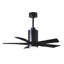 Patricia LED Downrod Ceiling Fan-486067283-486079861