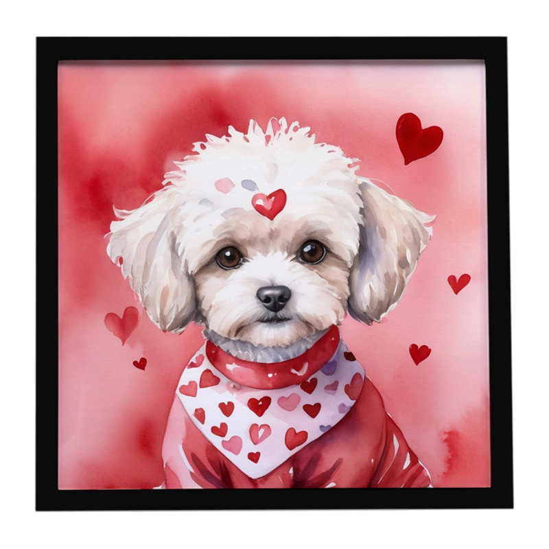 Maltipoo My Valentine, reproduction d'art encadrée