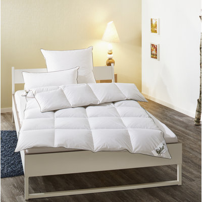 All Season Down Comforter