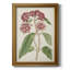 Toile encadrée de qualité supérieure Antique Botanical Collection-1277729711