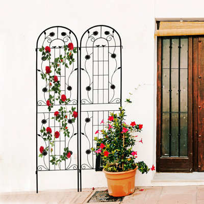 2 Pack Rustproof Metal Trellis 86.7" X 19.7", Outdoor Flower Support For Cucumber, Peas, Jasmine, Black, Easy Assembly, Strong Iron 19.7" Pack, Jasmine Vines, Installation,