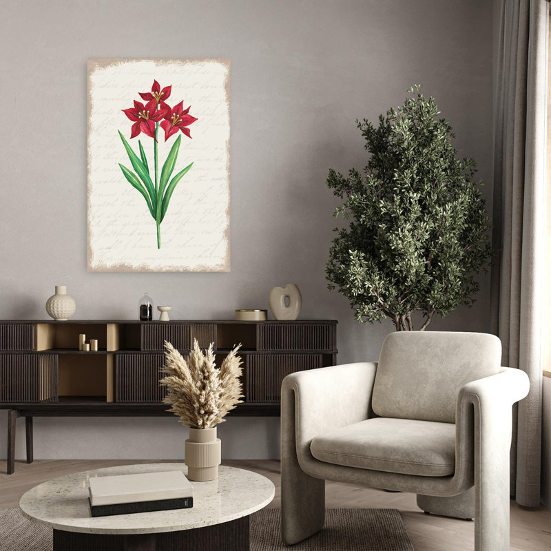 Amaryllis rouge botanique II, H 36 po x l 24 po