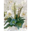 Malden Orchid Faux Floral in Vase