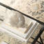 Triton Shell Blown Glass-1516507953