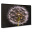 A Dandelion In Abstract - Wrapped Canvas-55300743