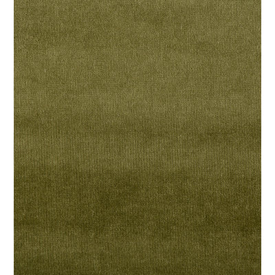 Essential Velvets Glamour Fabric