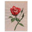 «Vintage Red Rose Flower II», reproduction sur toile-59709651-59709652