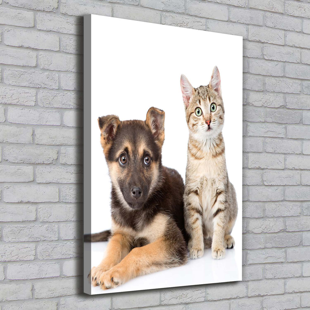 Hund und Katze - Kunstdrucke auf Leinwand