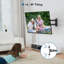 Universal TV Wall Mount for 13–42" Screens, Adjustable Tilt + Swivel + 360° Rotation, Supports 20kg, VESA 200×200mm Max, Bubble Level & Cable Ties Included