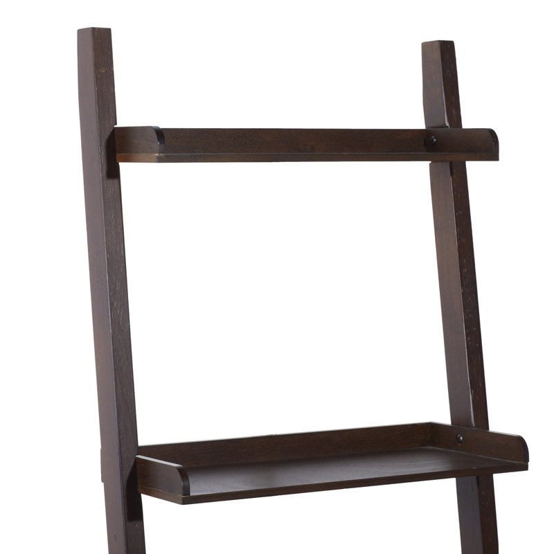Noemi Ladder Bookcase, Brown