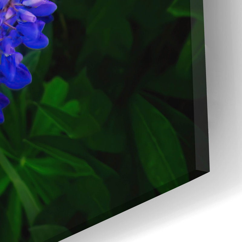 Art mural en verre Latitude Run® «Lupins» par Rick Berk, H 24 po x l 16 po x P 0,2 po